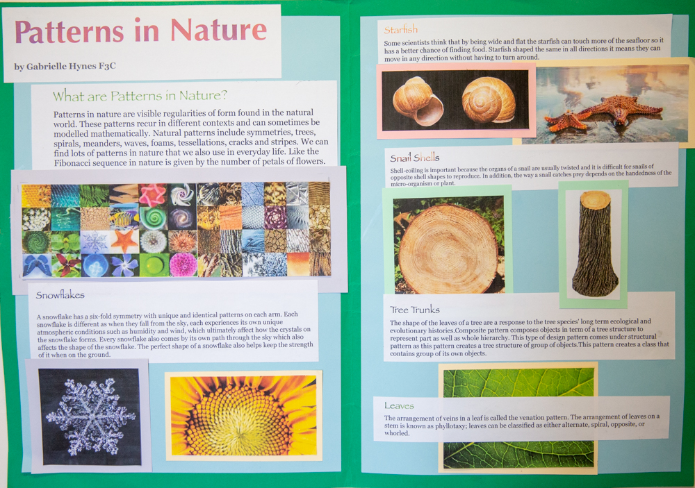 St Benedicts Research Posters