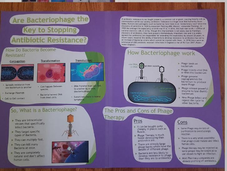 St Benedict's Research posters