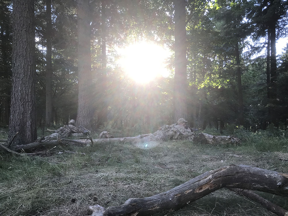 St Benedict's CCF Summer Camp to Wathgill