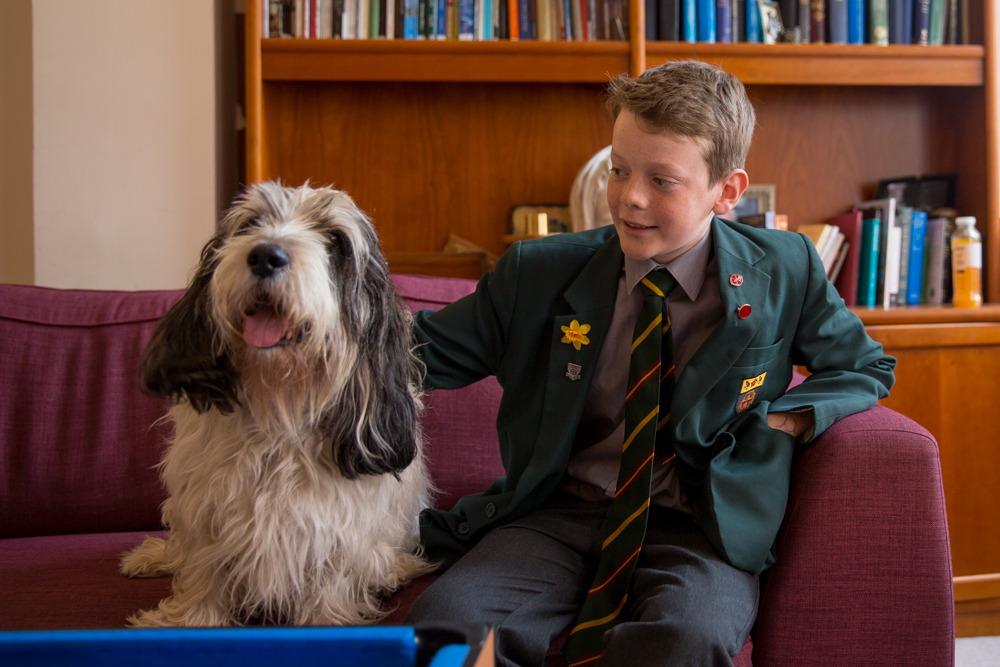 St Benedict's Chaplaincy Dog calms exam nerves