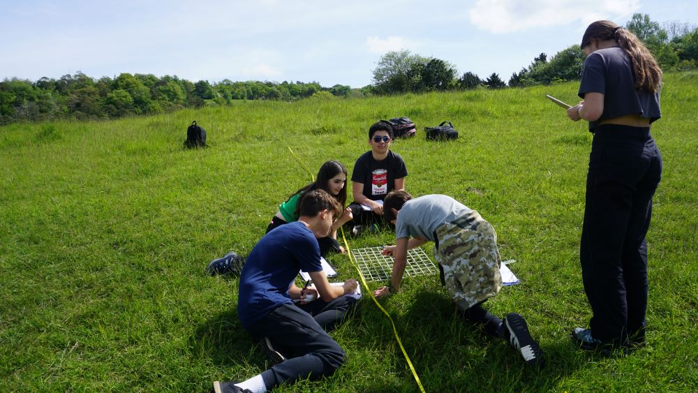 Box Hill trip