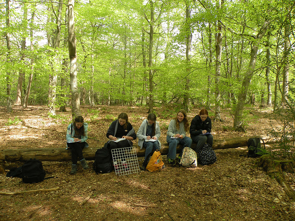 Geography Field trip