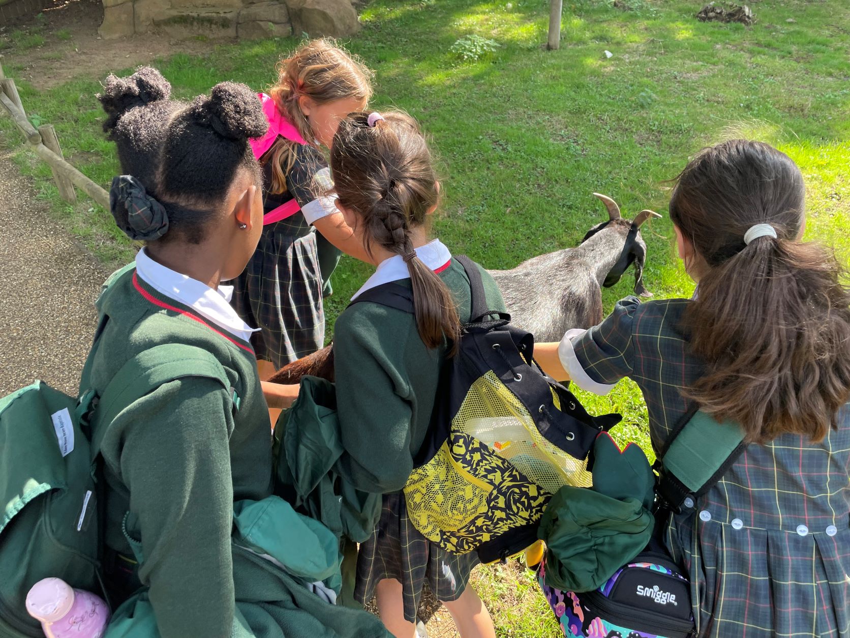 St Benedict's year 4 children visit Woburn Safari Park