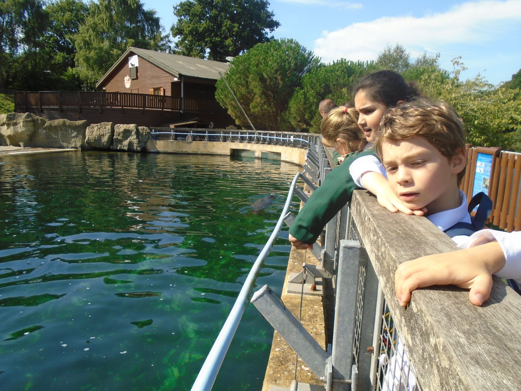 St Benedict's year 4 children visit Woburn Safari Park