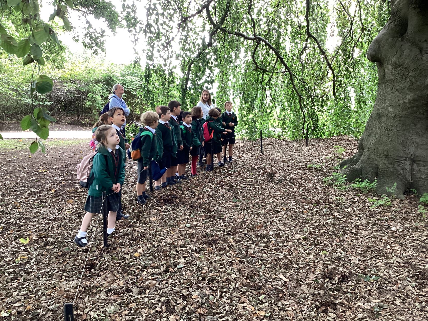 St Benedict's Year 2 children visit Kew Gardens