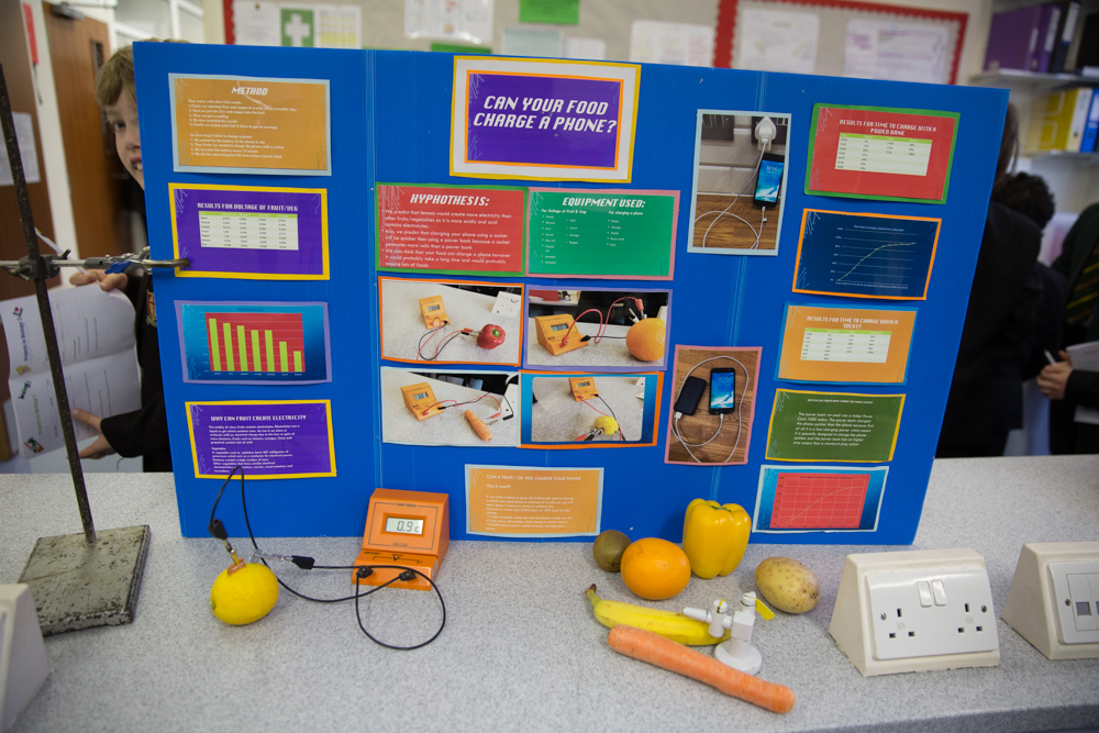 Science Fair