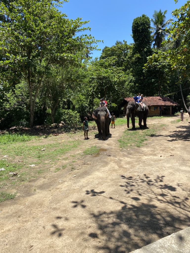 St Benedict's cricket tour to Sri Lanka