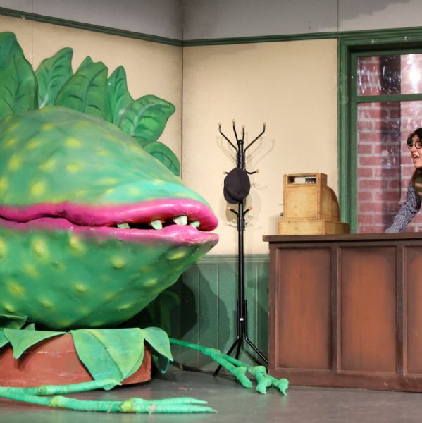2026 Senior School Production - Little Shop of Horrors