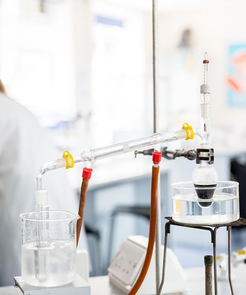 News » St Benedict's Science Forum